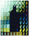 ABSOLUT VENTRELLA