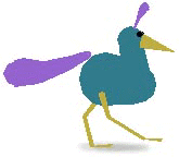 Bird_1