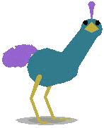 Bird_2