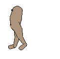 Download the Peanut