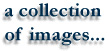 image bank