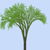 branchy branch 3