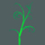 branchy branch 5