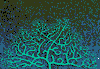 tree 2