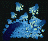 blobs