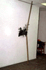 splat